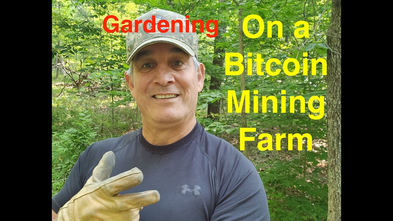 Gardening on a Bitcoin Mining Farm