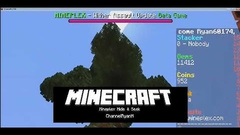 Minecraft - Mineplex Hide & Seek - with Birdem - I can