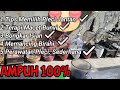 Tips Memilih Pleci Jantan Di Ombyokan Terapi Pleci Macet Bunyi Dan Suara Pleci Betina Dijamin Ampuh Mp3 - Mp4 Download