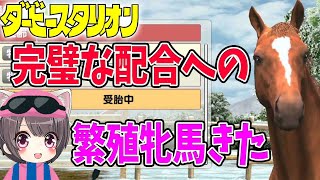 #12【ダビスタ switch】完璧配合への繁殖牝馬がセリに！貯めた資金で繁殖牝馬購入？ダビスタ初見実況【ダービースタリオン】