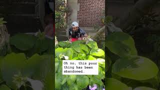 Injured Racket In The Wild |  #tennis #racket #funnyvideo #whiteout