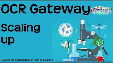 De hele OCR Gateway Biologie Onderwerp 2 - Opschalen van GCSE-herhaling