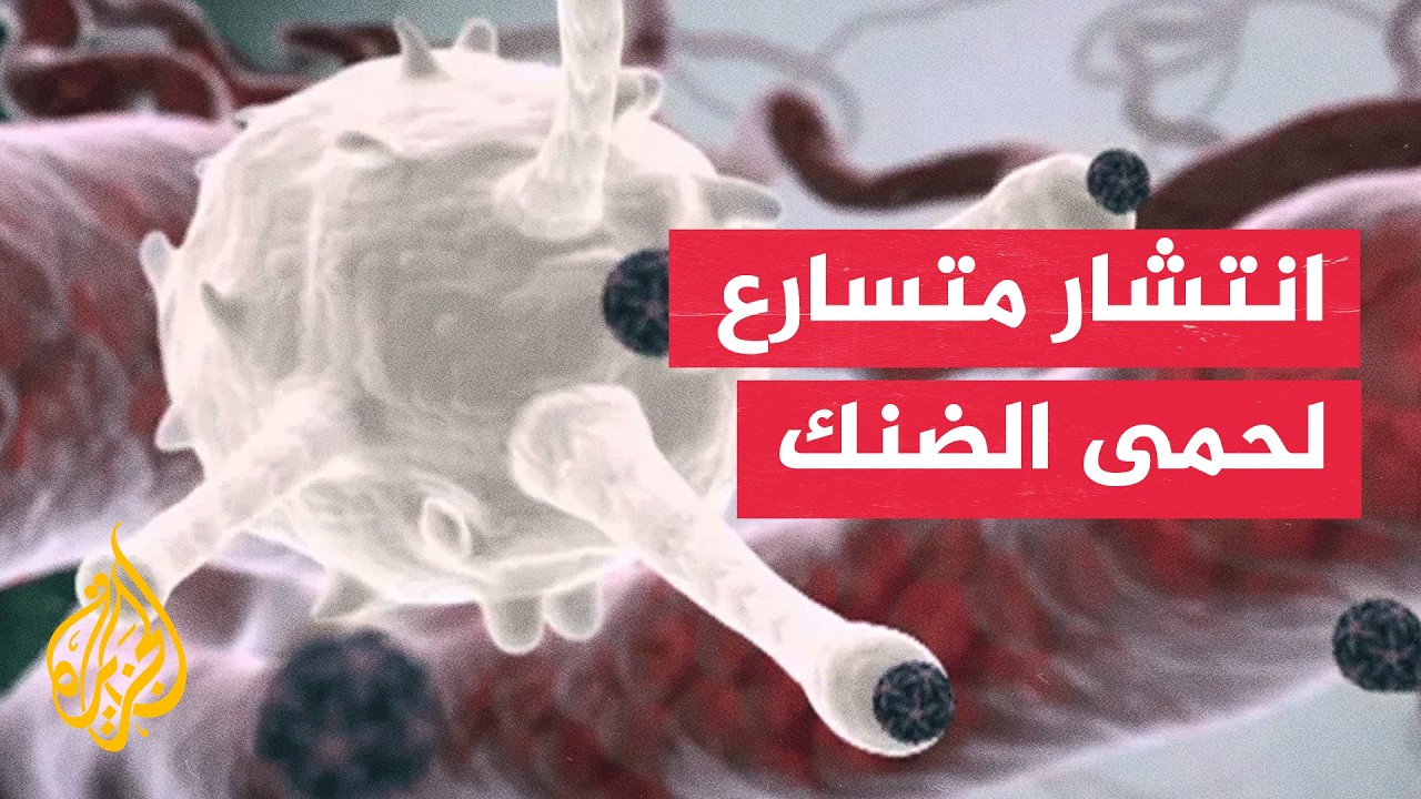 ����� ������.. ���� ��� ����� ��� ������ ����� ���� ������ �����
 - نشر قبل 12 دقيقة