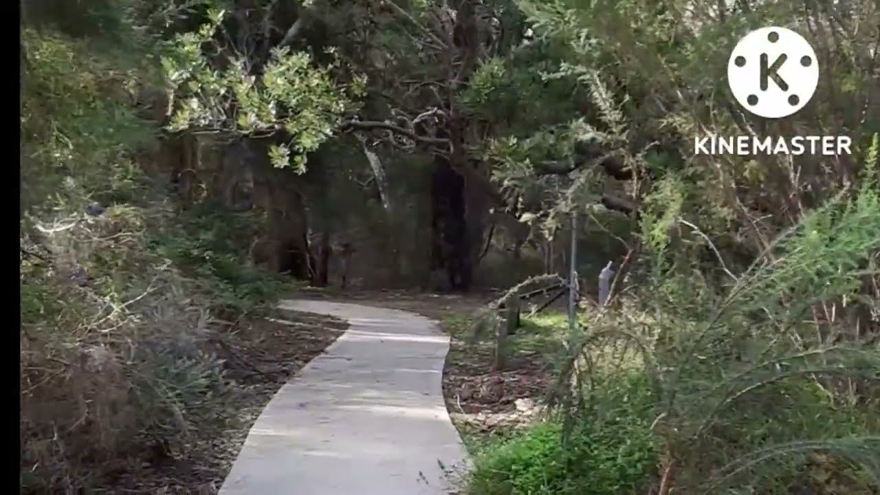 Hiking near Swan river in perth Australia.ที่เดินป่าออกกำลังกายไนเพิร์ธออสเตรเลีย