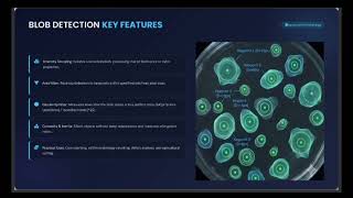 Contour Analysis & Blob Detection in an Image, Department of Artificial Intelligence & Data Science