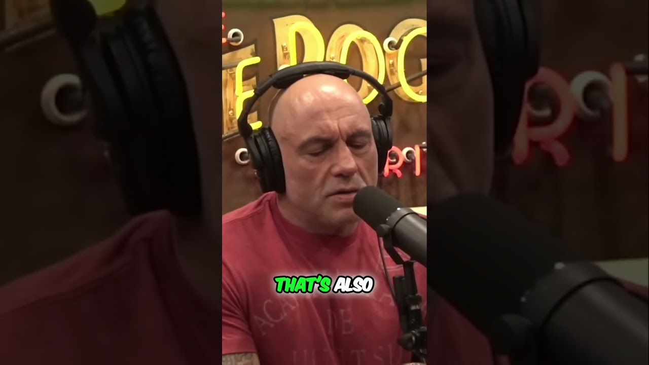 Is Damage Tolerance 💪 the Key to Longevity? 🥊