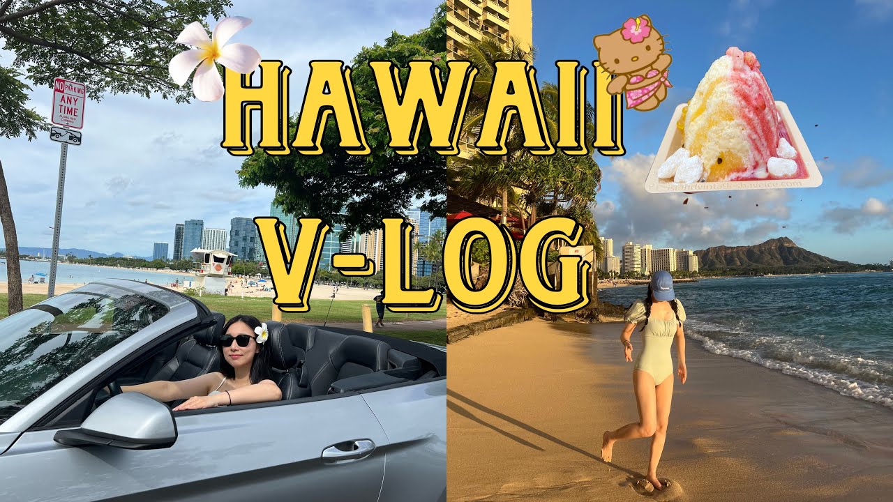 Hawaii vlog.|하와이신혼여행💖| 11월하와이| 쉐라톤와이키키호텔| 거북이스노쿨링| 울프강스테이크| 쿠알로아랜치| 하와이맛집