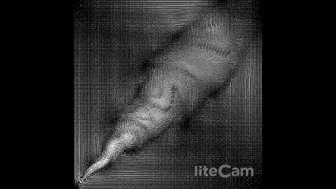 2d Fluid simulation based on Stam