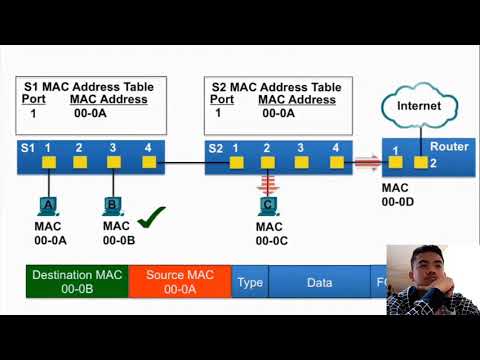 Module 2: Switching