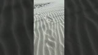 Erasing footsteps in the sand