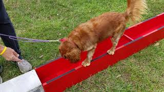 Ruby learning the wooden thin parallel walk
