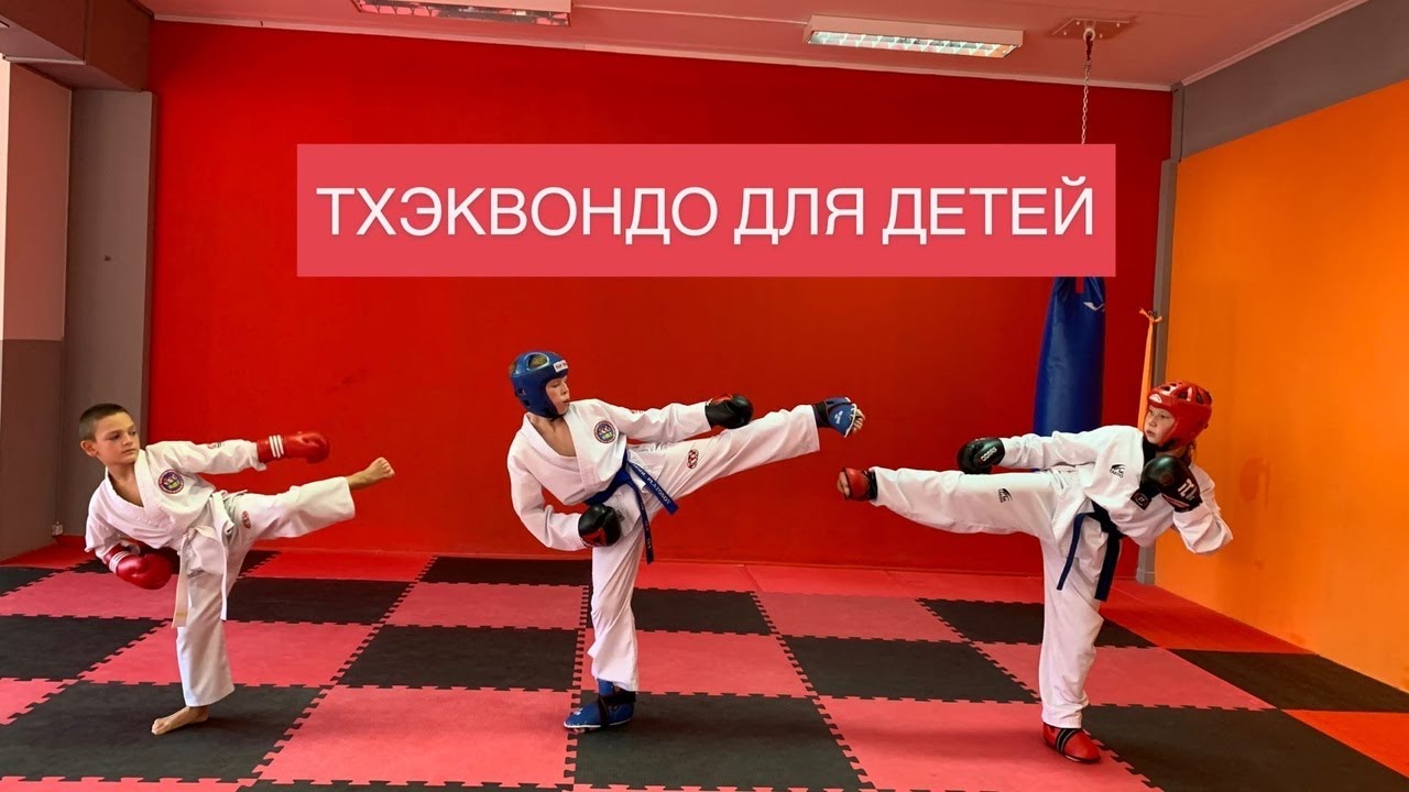Платонов спорт. Школа тхэквондо Платонова Ярославль. Антон Платонов школа тхэквондо. Тхэквондо в Ярославле. Секции тхэквондо в Ярославле.