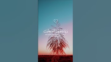 قران كريم لأ تهرب بلأ أسمع #اكسبلور  عباد الرحمن