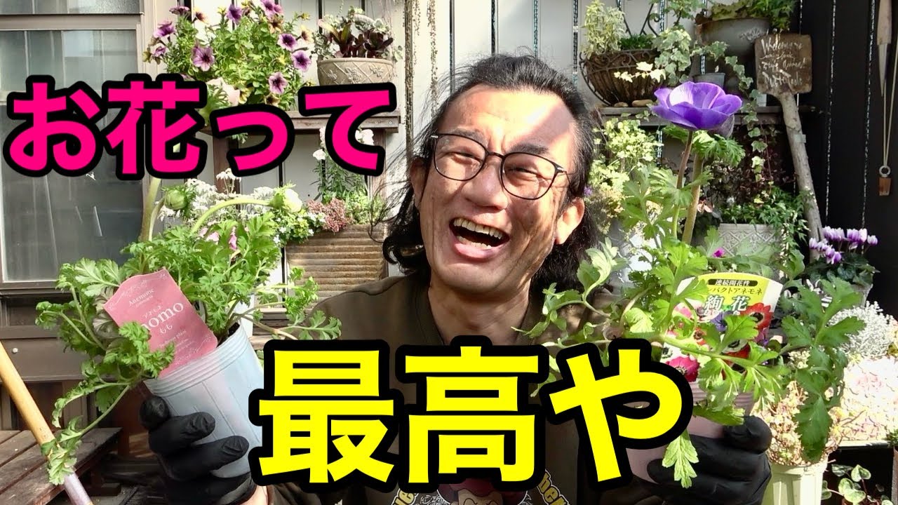 アンチの異論も認めない！！！　【園芸超人カーメン君】