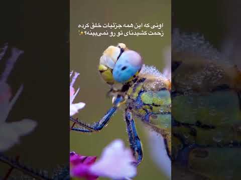 بفرست واسه اونی که داره تلاش میکنه نا امید نشه