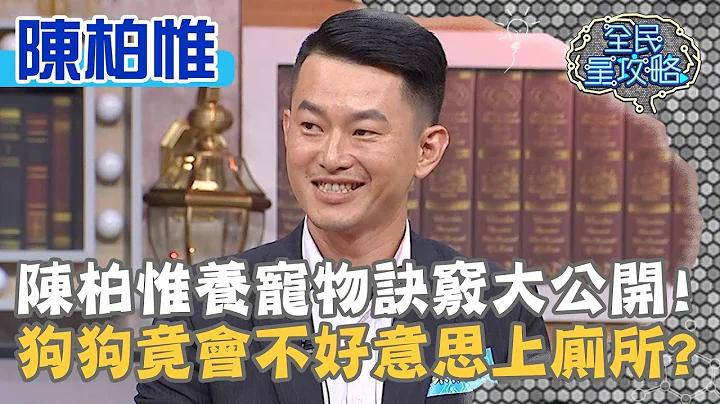 陳柏惟養寵物訣竅大公開！狗狗竟會不好意思上廁所？！20190827 曾國城 陳柏惟 Part3 EP110【全民星攻略】 - 天天要聞