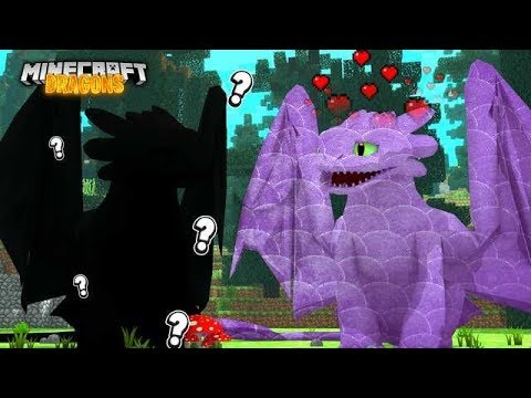 MY BABY NIGHT FURY HAS A BOYFRIEND?! | Minecraft Dragons ...