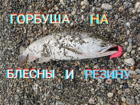 Ловля горбуши на Сахалине! Наконец то проклюнулась!