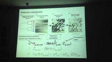 Frishkoff: The phylogenetic occupancy model accounting for imperfect detection