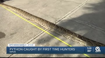 Record-setting python caught by first-time hunters