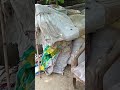 #shortvideo #ddd