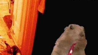 Celebrity The Dramatic Chipmunk Attacks!!!! ( Killer ) Net Worth