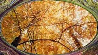 İsyanim Sana Degi̇l Kaderi̇me