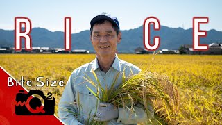 Organic Japanese Rice Farmer | Bite Size Q2