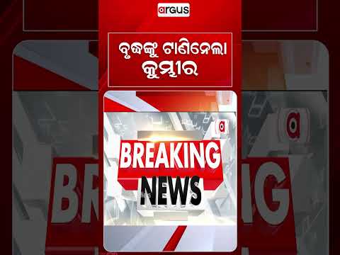 Elderly Man Dragged Away By Crocodile In Kendrapara While Boarding Boat | Argus News