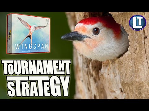 Wingspan TOURNAMENT Strategy Chat With the 2 Player Wingspan Winner 2021