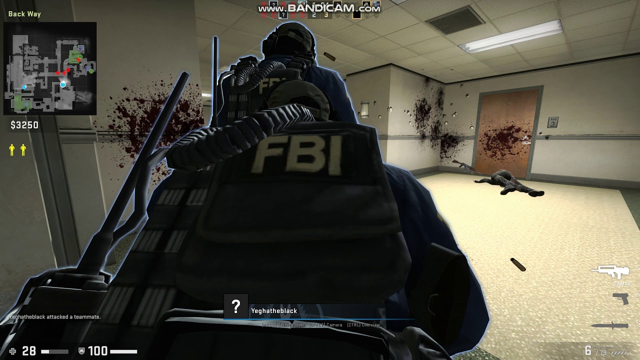 Cs go host инжектор