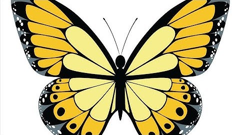 Class- 3rd; Lesson-9:-The Yellow Butterfly🦋 Exercise fun-time and Question-Answer with Neelam Mishra