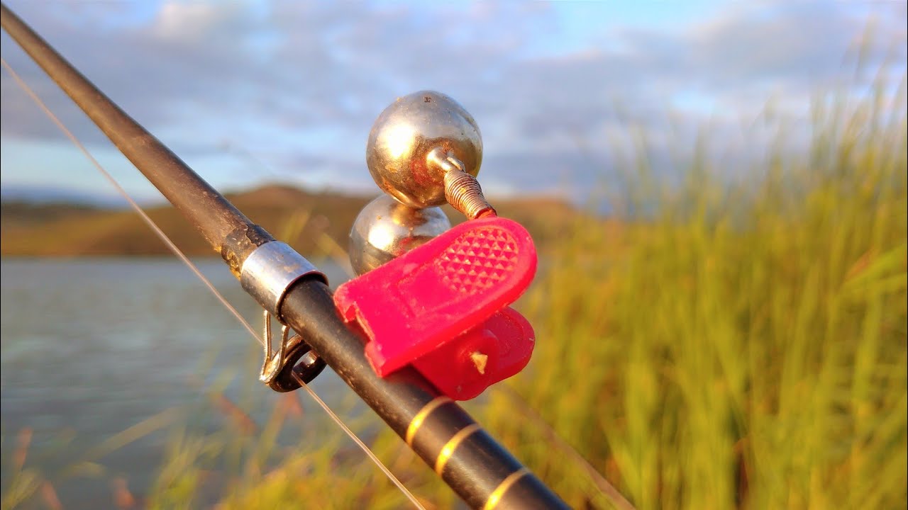 РЫБАЛКА НА ДОНКИ В СЕНТЯБРЕ. КЛЮНУЛ ТРОФЕЙ. - YouTube