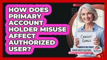 How Does Primary Account Holder Misuse Affect Authorized User?