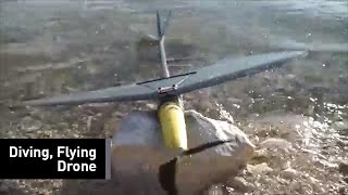 It's a Diving Bird! It's a Flying Fish! It's... a Drone!