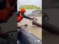 洪水で動けない猫たちをボートで救助!