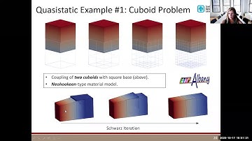 PNWNAS 2020: Irina Tezaur
