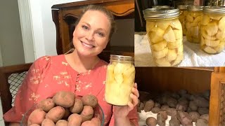 How To Pressure Can Potatoes! Using My Presto Digital Pressure Canner!