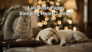 Relaxing Labrado Puppy Sleeping Music | 2 Hours for Sleep screenshot 2