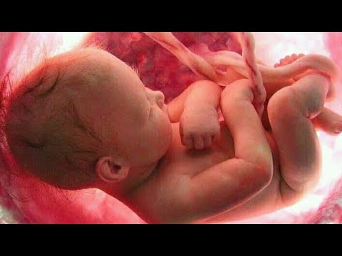 دعاء الحامل مستجاب كنج كونج