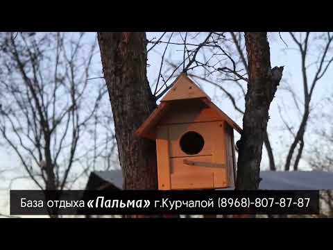 Гостевой Домик ПАЛЬМА