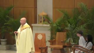 5/31/2026 11:00 AM Mass: The Solemnity of the Most Holy Trinity