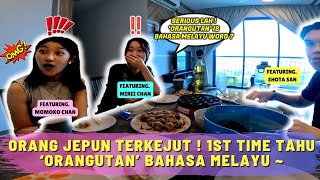 Orang Jepun Terkejut ! 1st Time Tahu Orangutan Bahasa Melayu | Takoyaki Party 🐙#134 (ENG SUB)
