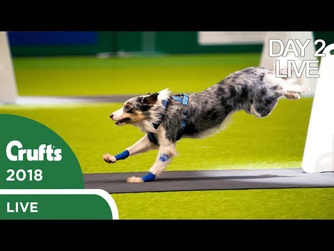 youtube crufts 2019 day 4