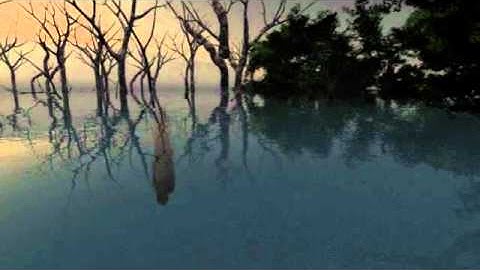 Swamp Scene - Vue 10