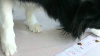 DSCF6251.avi