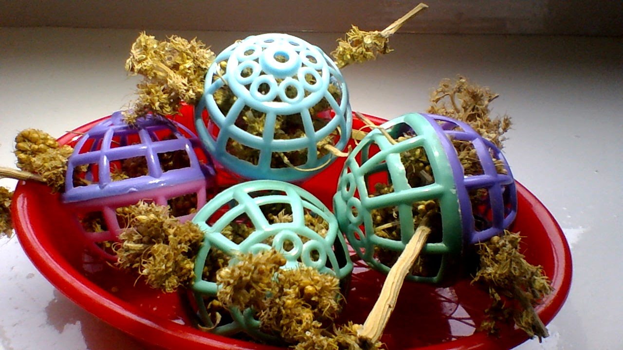 How to make a budgie millet hunting ball toy YouTube