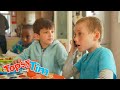Tony&#39;s Friend | Topsy &amp; Tim | Live Action Videos for Kids | WildBrain Zigzag