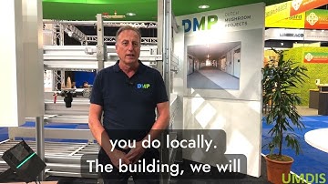 DMP about the company