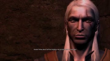 (Obsolete Upload) The Witcher -- Chapter 2 part 1 of 2 -- Vizima Confidential